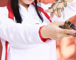 MiiTao蜜桃社 - 咕噜Sweet兔女郎合集来袭，最新兔兔装备都在这里！