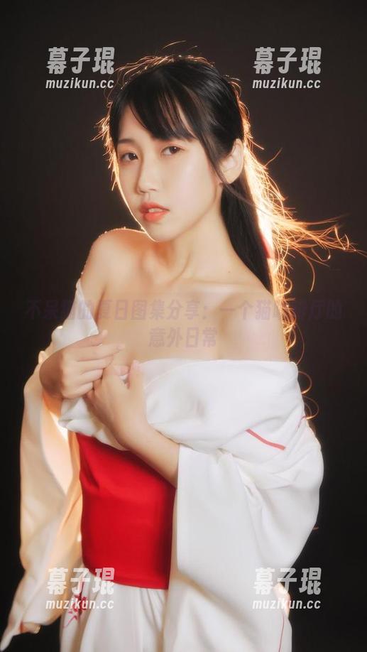 不呆猫的夏日图集分享：一个猫咖啡厅的意外日常