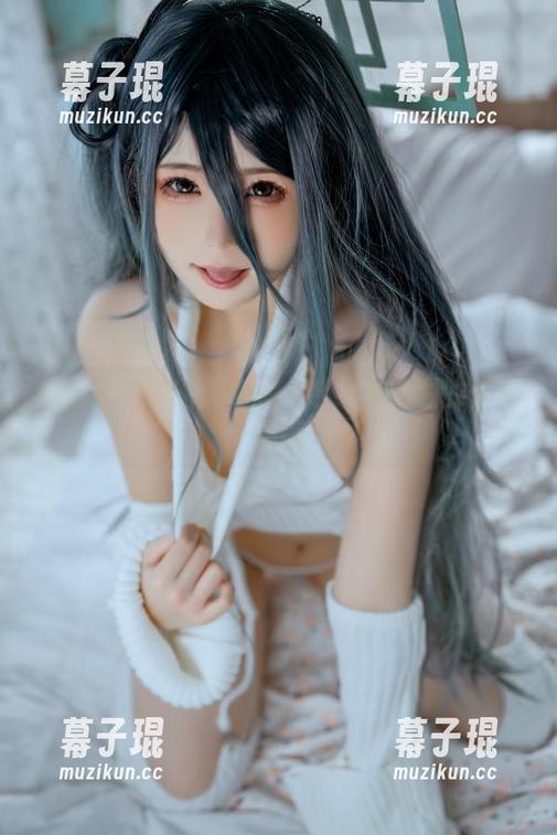 拖拉大王的潜入秘藏：合集与资源的无尽纠缠
