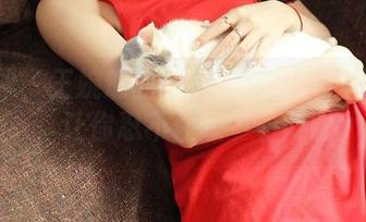推女神 - 王婉悠的图包——都市迷情合集，让你忍不住想多看两眼