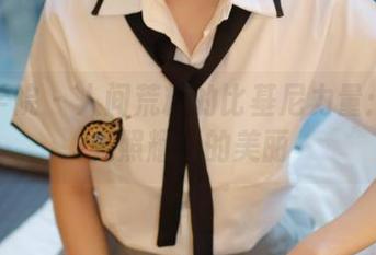 模范学院 - 人间荒糖的比基尼力量：无圣光照耀下的美丽